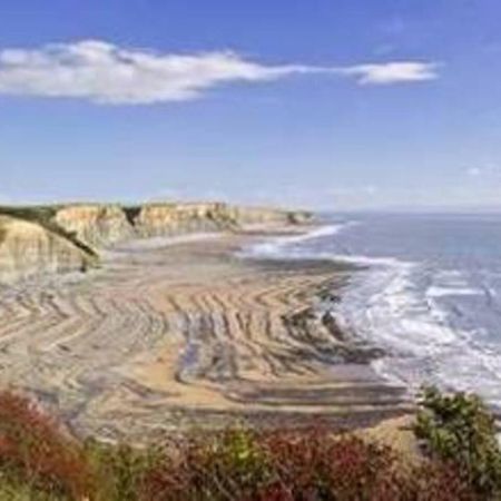 1-Bed Cottage On Coastal Pathway In South Wales Gileston Bagian luar foto